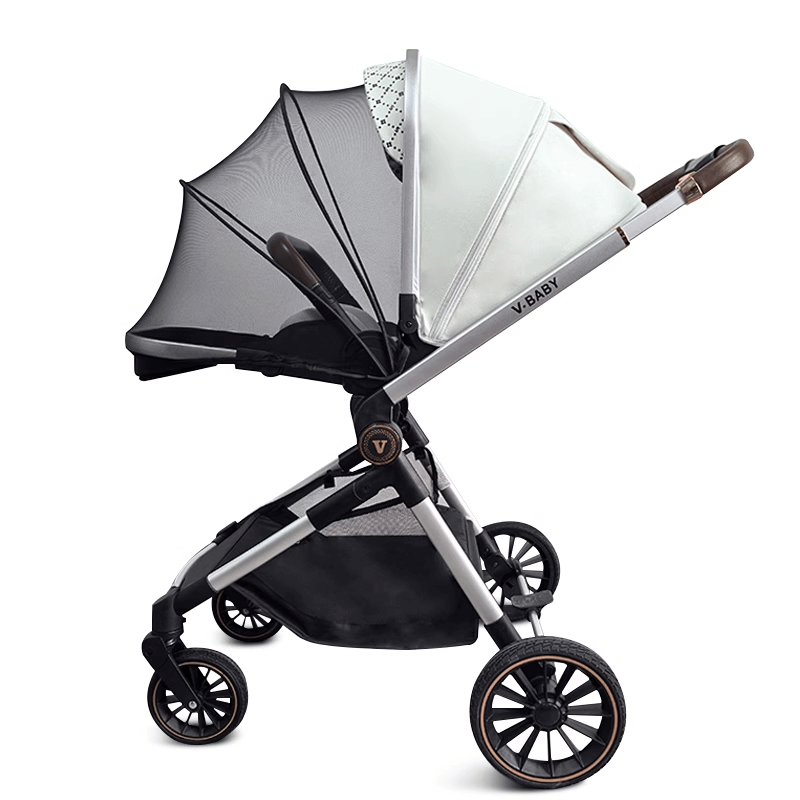 Baby Stroller Types and Key Features